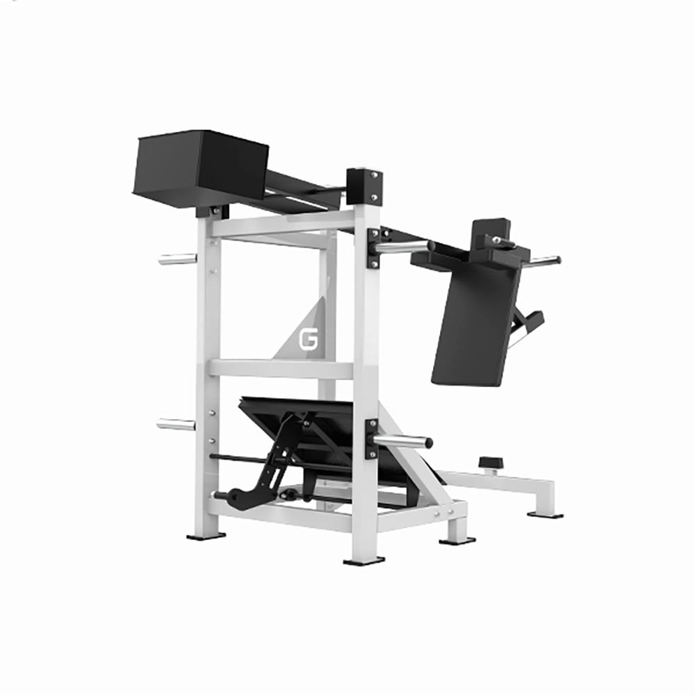 Pendulum squat trainer