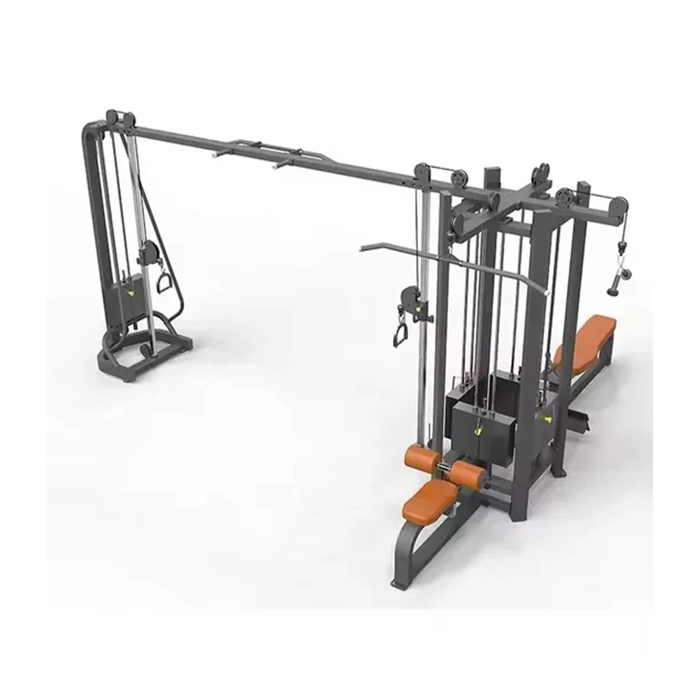 Entrenador Integral Life Fitness Big Bird