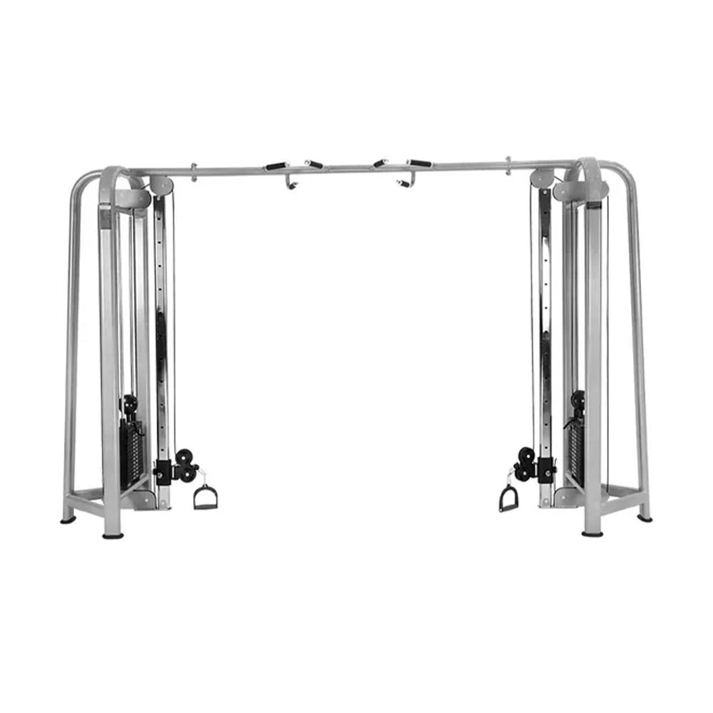 Entrenador Integral Life Fitness Big Bird