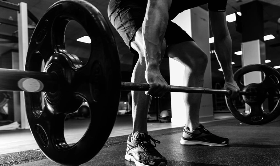 What is the Most Popular Equipment in the Gym