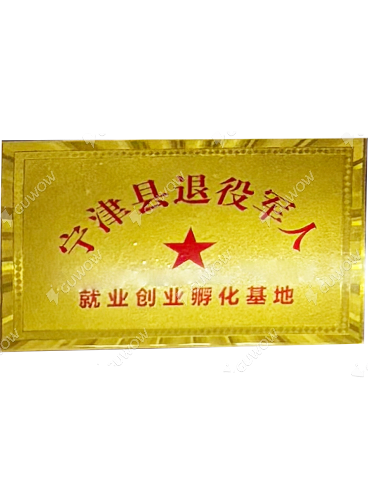 Ningjin County Veterans' Employment and Entrepreneurship Incubation Base