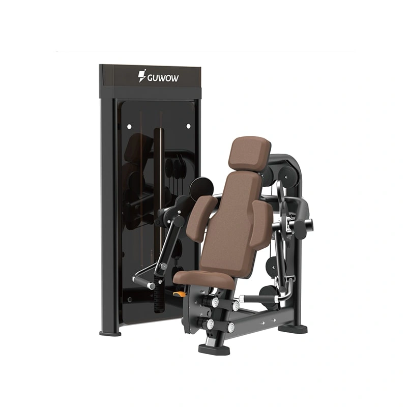 Seated Lateral Raise Machine  